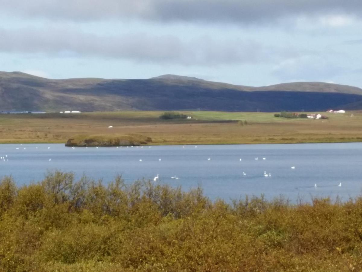 Cosy Cottage In Golden Circle Near Thingvellir Vaolaekir Bagian luar foto
